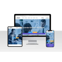 Danışmanlık Web Paketi Fever v3.0